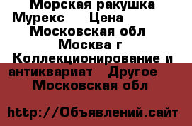 Морская ракушка Мурекс   › Цена ­ 1 500 - Московская обл., Москва г. Коллекционирование и антиквариат » Другое   . Московская обл.